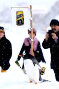 都内の カズチー を買い占めているのは私であ るぞよ Iysk攻めのコラム